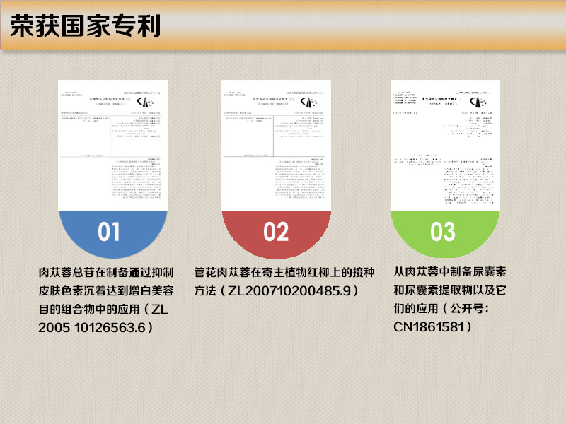 获得国家专利1.jpg