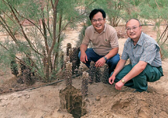 1531190742152977.png 3009.png