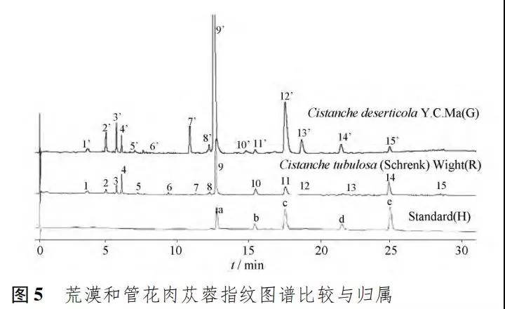 微信图片_20191119162121.jpg