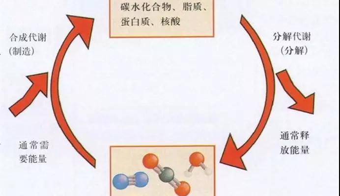 微信图片_20191206120332.jpg