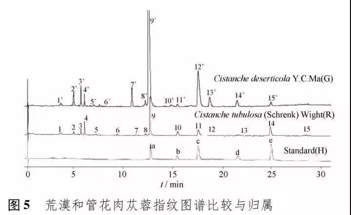 微信图片_20200620160711.jpg