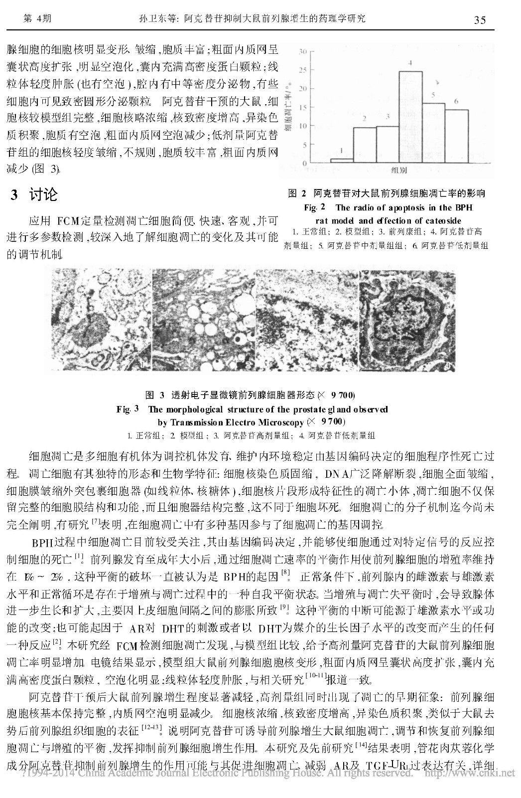 阿克替苷抑制大鼠前列腺增生的药理学研究_孙卫东_页面_3.jpg