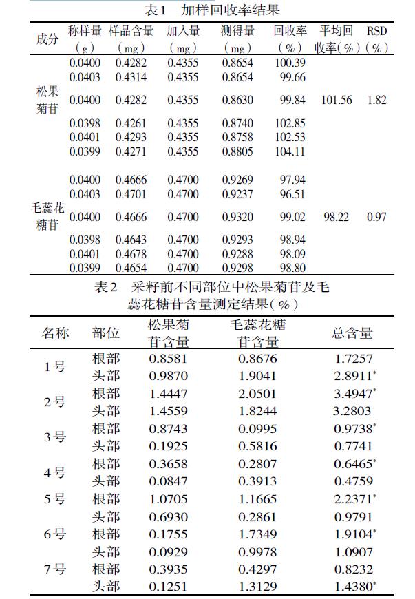 肉苁蓉 www.www.wagawa.com