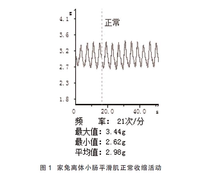 肉苁蓉 www.www.wagawa.com