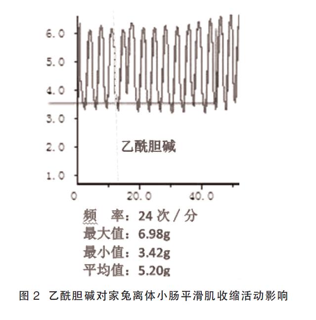 肉苁蓉 www.www.wagawa.com