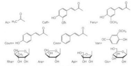 肉苁蓉有效成分的分子式