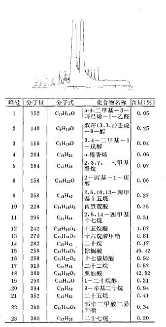 肉苁蓉 www.www.wagawa.com