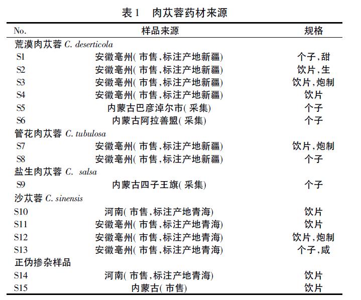 肉苁蓉 www.www.wagawa.com