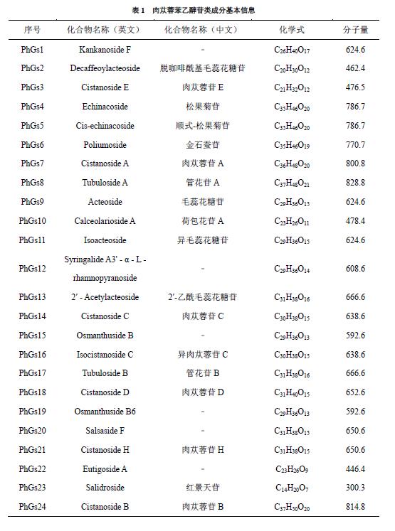 肉苁蓉 www.www.wagawa.com