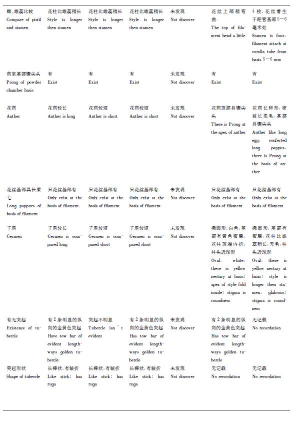 肉苁蓉 www.www.wagawa.com