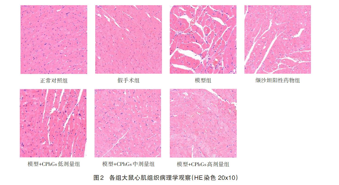 肉苁蓉 www.www.wagawa.com