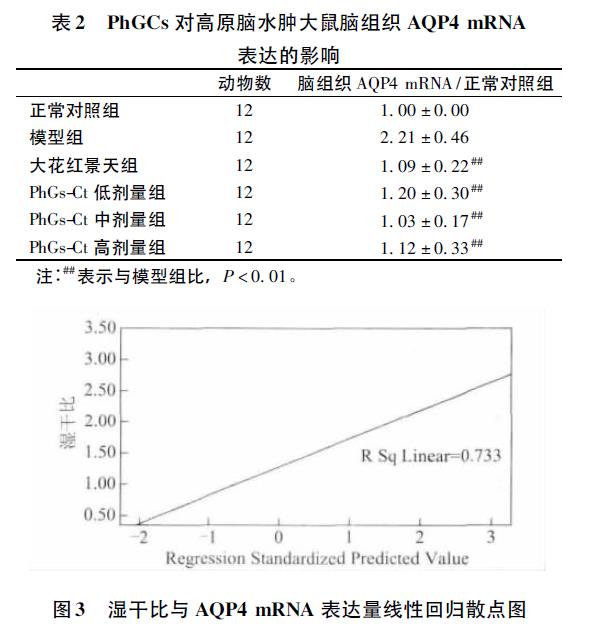 肉苁蓉 www.www.wagawa.com