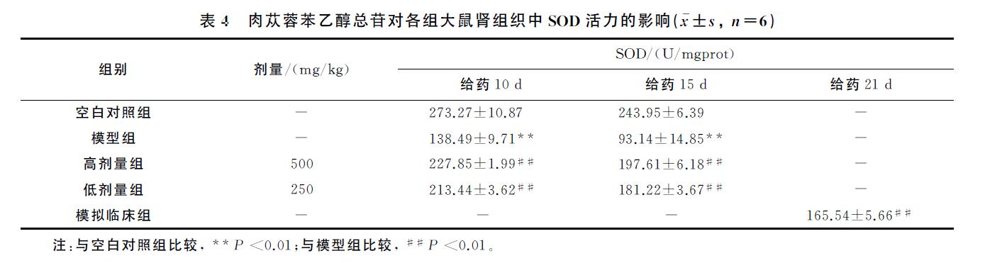 肉苁蓉 www.www.wagawa.com