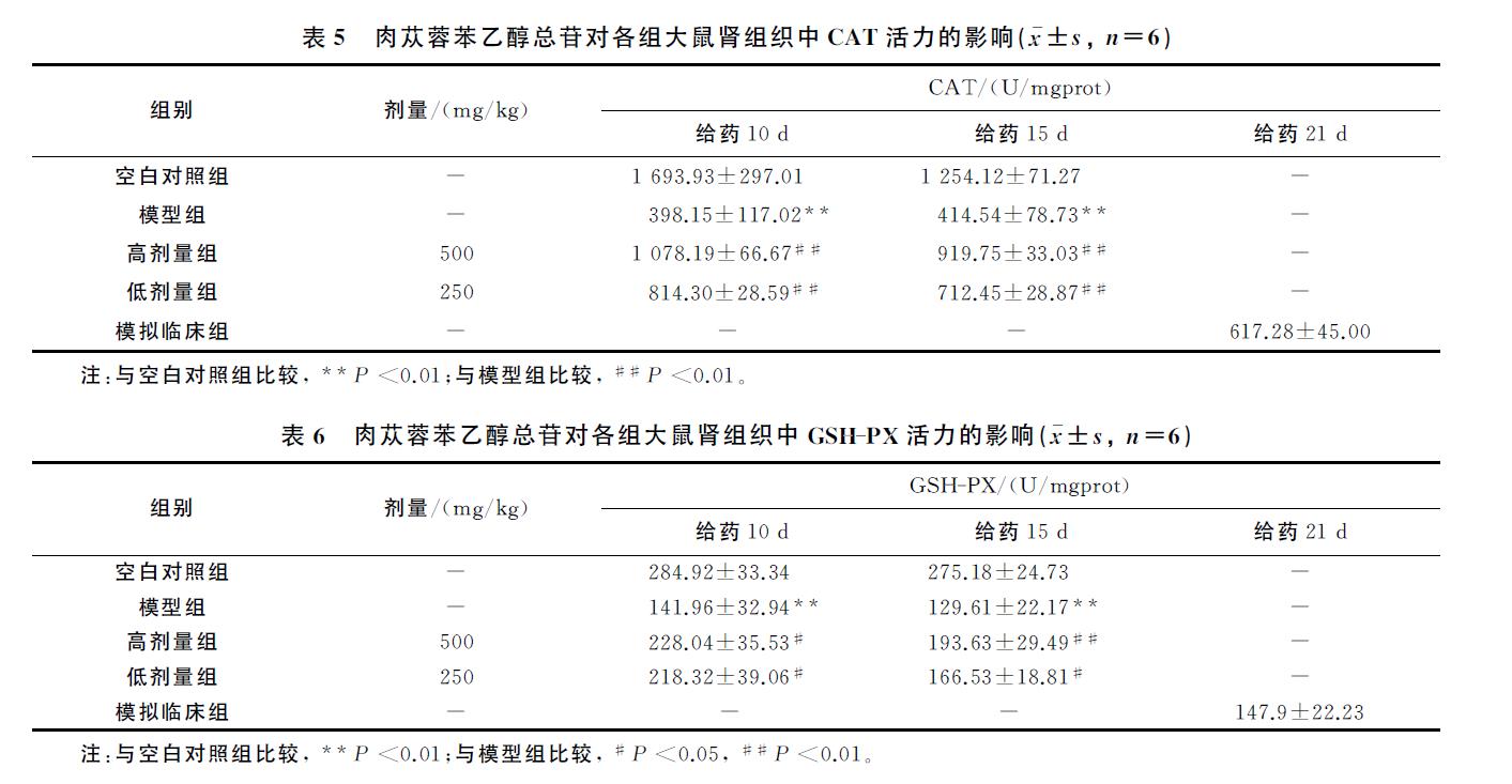 肉苁蓉 www.www.wagawa.com