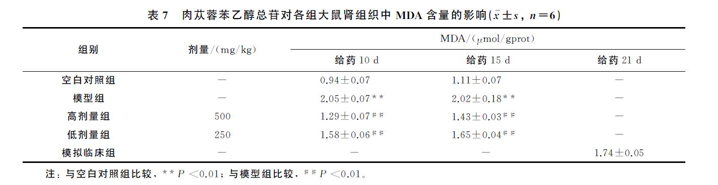 肉苁蓉 www.www.wagawa.com