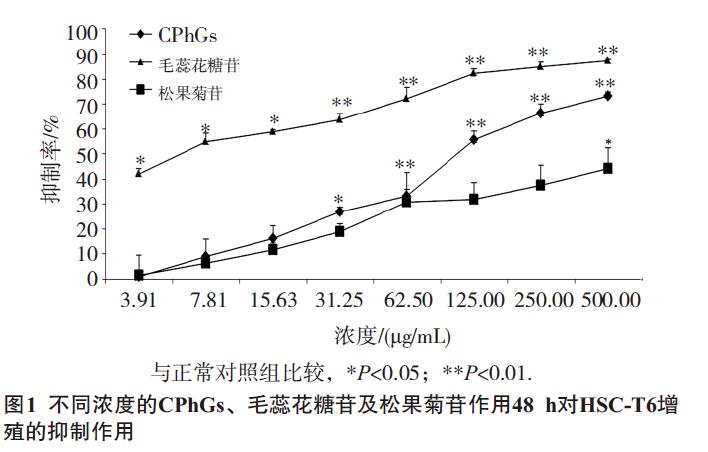 肉苁蓉 www.www.wagawa.com