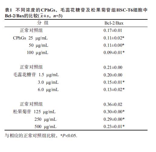 肉苁蓉 www.www.wagawa.com