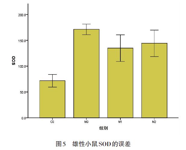 肉苁蓉 www.www.wagawa.com