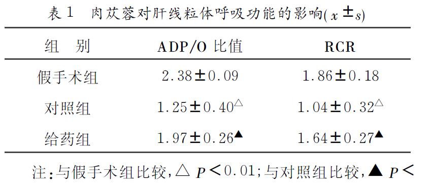 微信截图_20211121111259.jpg