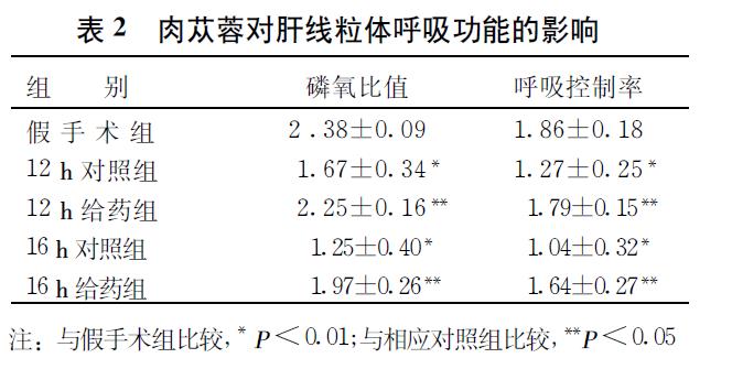 肉苁蓉 www.www.wagawa.com