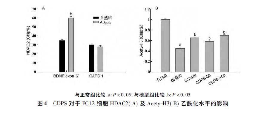 肉苁蓉 www.www.wagawa.com