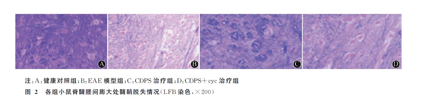 微信截图_20211201120103.jpg