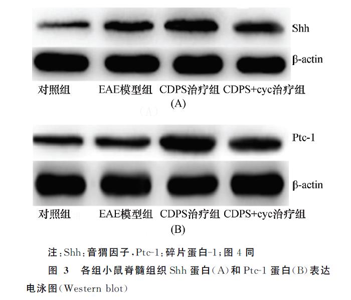 微信截图_20211201120138.jpg