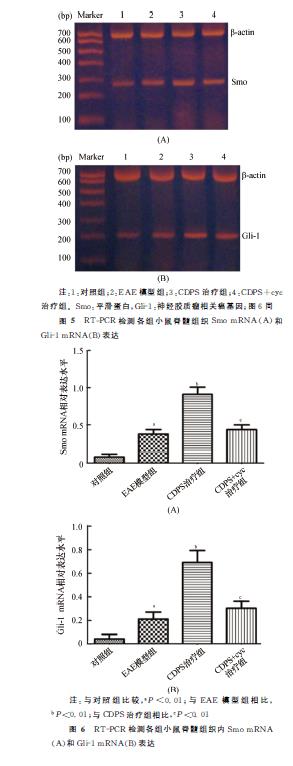 微信截图_20211201120310.jpg