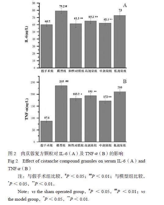 肉苁蓉 www.www.wagawa.com