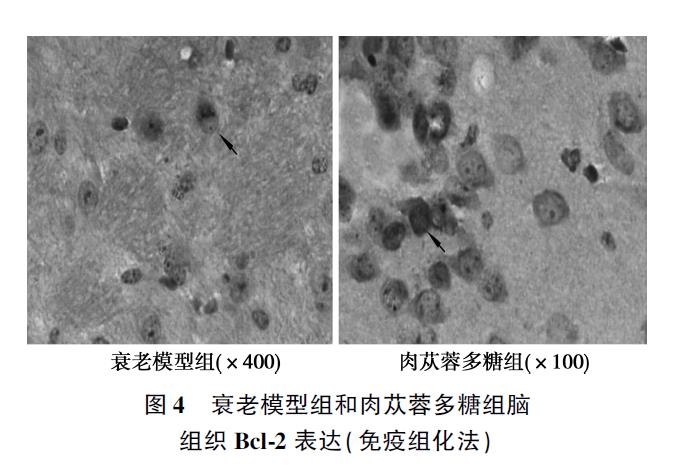 微信截图_20211215122146.jpg