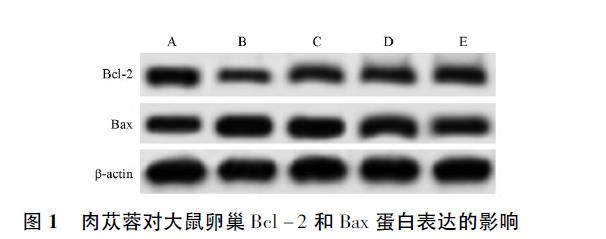 微信截图_20211224102553.jpg