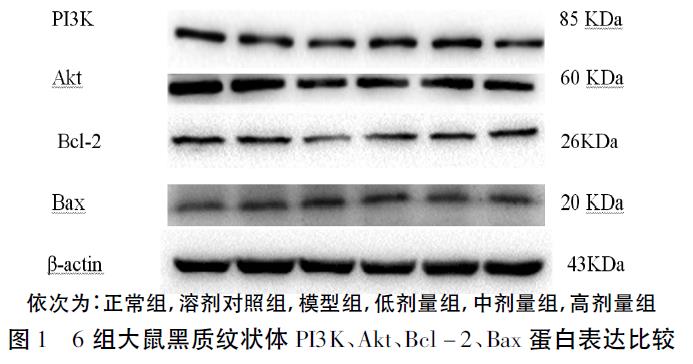 微信截图_20211224103059.jpg