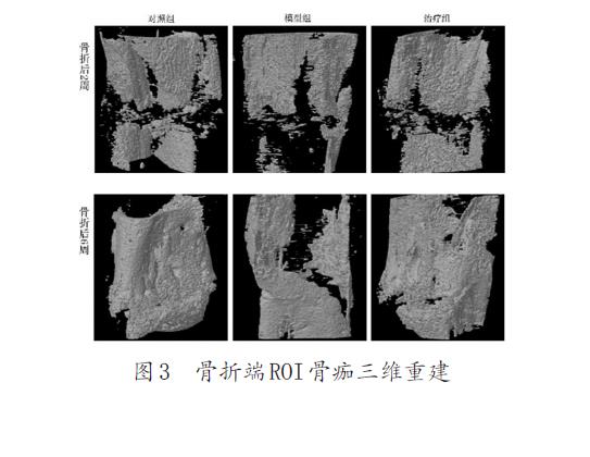 微信截图_20211227103425.jpg