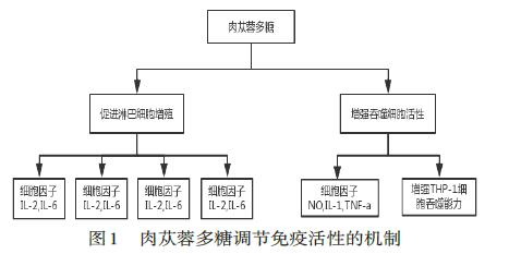 微信截图_20220105110845.jpg