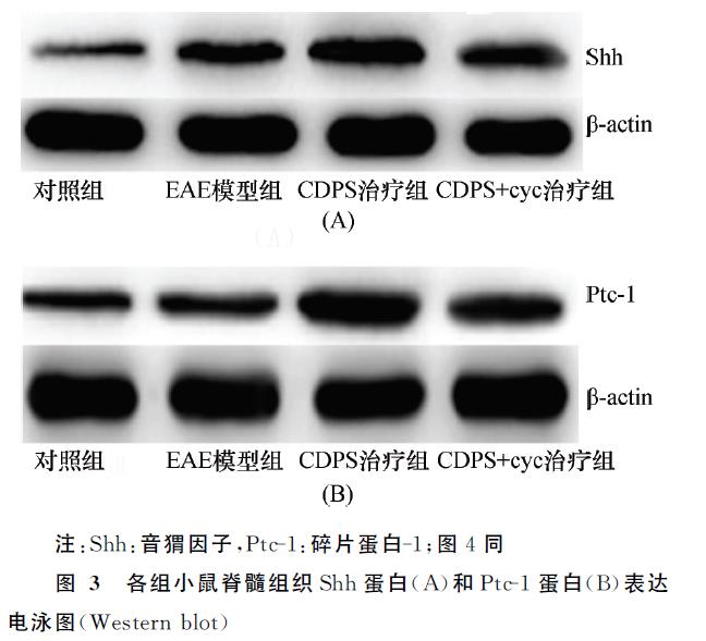 微信截图_20220105112028.jpg