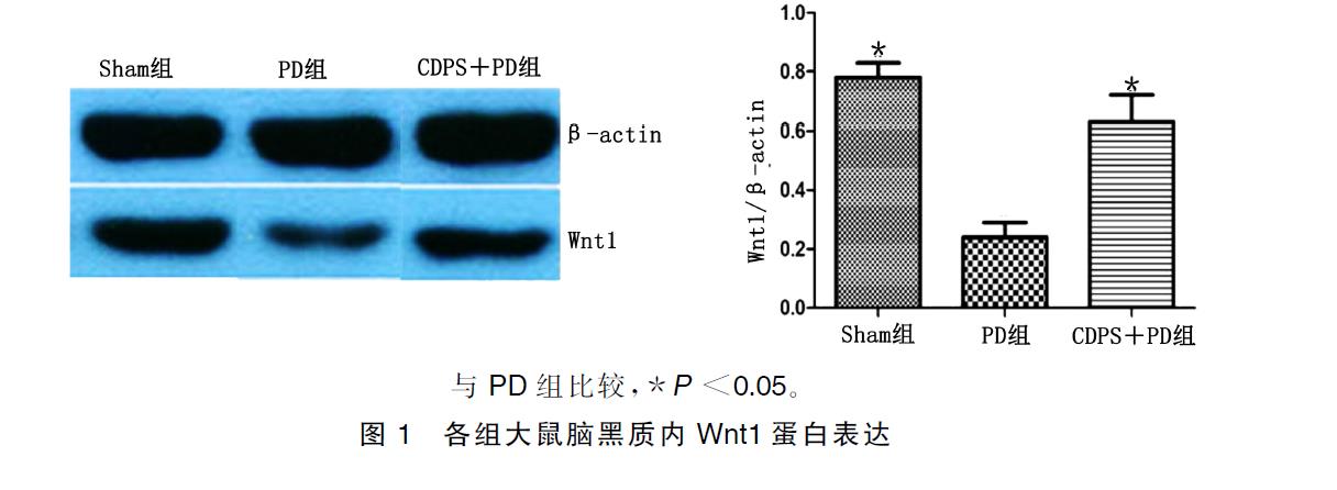 微信截图_20220106101713.jpg